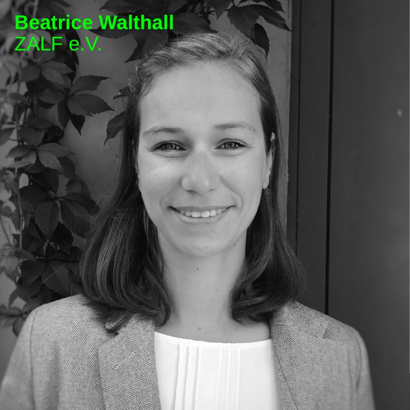 Beatrice Walthall